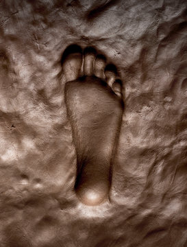 Close up of footprint on soil
