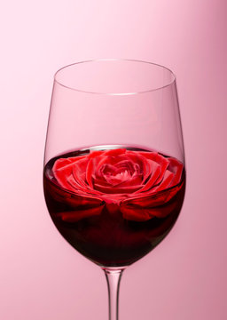 Wine with rose in glass against pink background