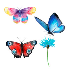 Obraz na płótnie Canvas watercolor drawings - multicolored butterflies, set cut from the background