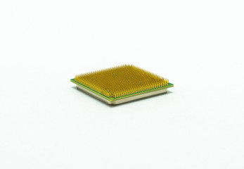 Computer CPU processor closeup, visible gold pins, isolated on white background with clipping path.
