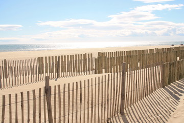 Obraz premium Natural and wild beach with a beautiful and vast area of dunes, Camargue region in the South of Montpellier, France