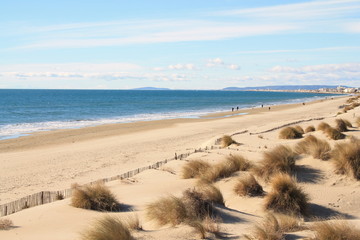 Amazing Sandy beach in Camargue region, in the South of France