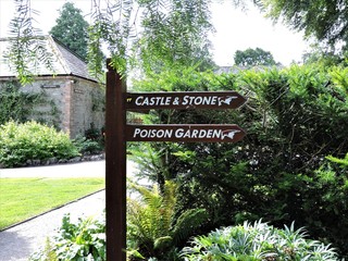 wooden sign in the park