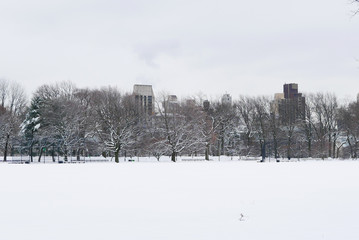 Fototapeta na wymiar Horizontal winter city landscape