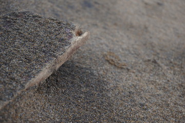 Bois et sable