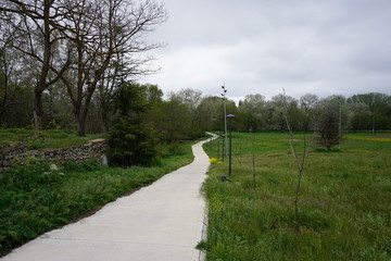 Route au milieu de la verdure