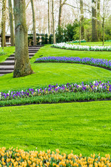 Beautiful garden in spring