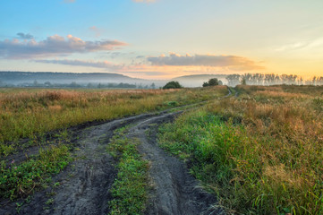 morning, a field of grass, trees and a village on the horizon