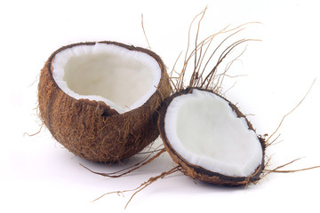 fresh coconut cut in half isolated on white background