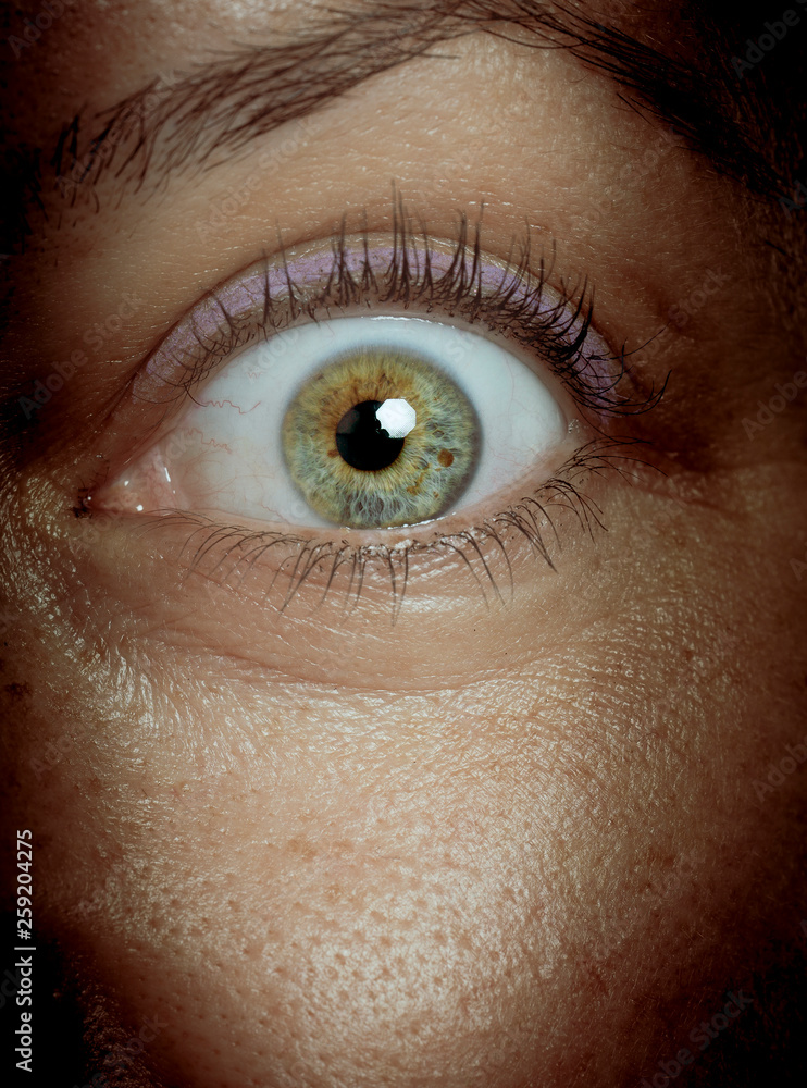 Wall mural beautiful eyes close-up macro shot