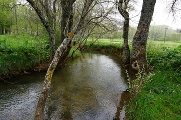 Verdure