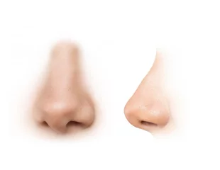 Muurstickers human nose reference images © oz