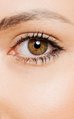 Obraz premium detail macro shot of beautiful eyes