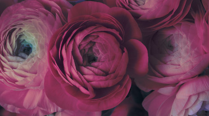 Pink anemone flower bouquet