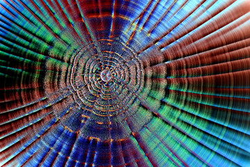 Crystals of ascorbic acid, microscope image