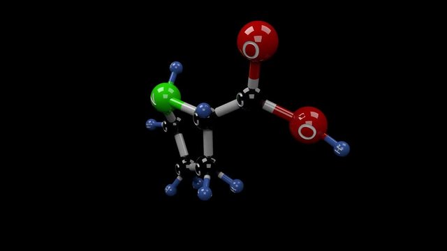 Proline molecule. Molecular structure of L-proline, non-essential amino acid constituent of many proteins and found in high concentrations in collagen. Alpha channel.