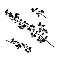 Vector silhouette of the branches of Apple trees with flowers, black color, isolated on white background