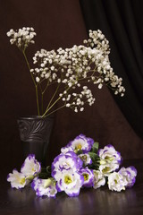 Obraz na płótnie Canvas Beautiful white flowers - eustoma and gypsophila
