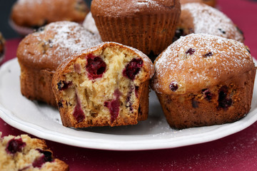 Black currant muffins in a plate on a pink background