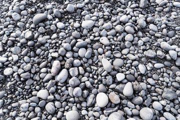 Fototapeta na wymiar Black sand beach in Iceland