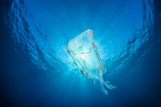 Discarded plastic bag in sea