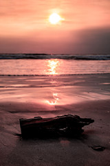 Drift wood on the beach