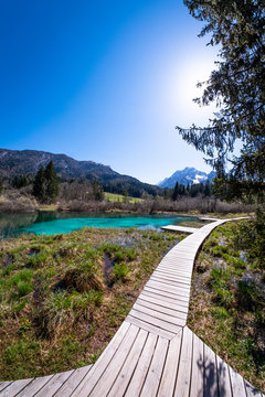Lake Zelenci with observation trail and ponce mountains in Slovenia