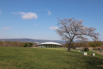 馬見丘陵公園の春