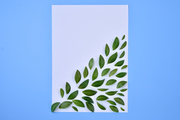 Creative Natural Composition Of Green leaf And Blank Paper On blue Paper Background With Copy Space. Flat Lay, top view. Minimal summer concept