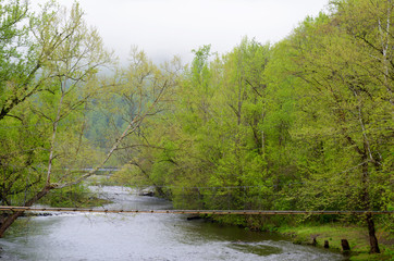 Swinging bridge in spring crosses a small river.