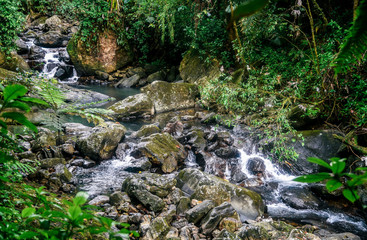 Naklejka na ściany i meble La Mina River in El Yunque National Forest in Puerto Rico