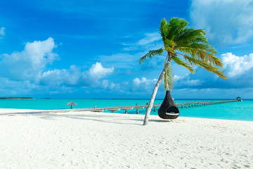 tropical Maldives island with white sandy beach and sea