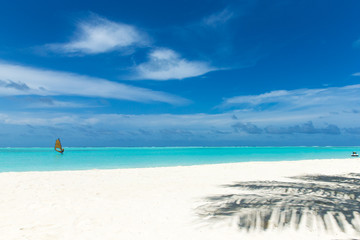 tropical Maldives island with white sandy beach and sea