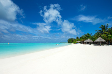 tropical Maldives island with white sandy beach and sea