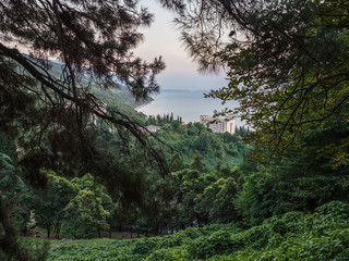 View of the seacoast with residential buildings through tree branches.