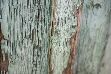 A close-up of a fragment of an old rural door. Wooden door with metal fittings. Bleached oil paint. Shallow depth of focus, texture, background.
