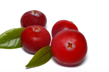 Cranberry berry on a white background. Wild, forest, healthy and sour.