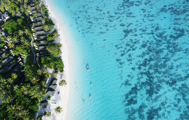 Fototapeta na wymiar Beautiful aerial view of Maldives and tropical beach . Travel and vacation concept