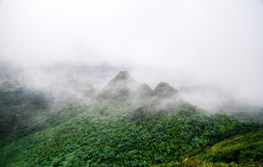 View from El Yunque Peak in El Yunque National Forest in Puerto Rico 