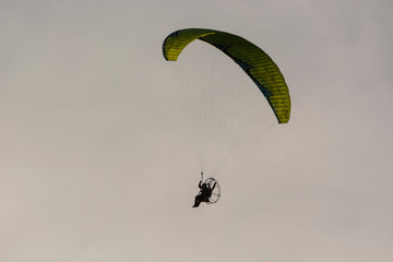 paraglider