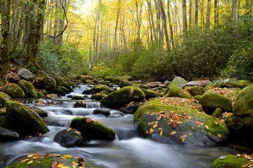 Small white water stream in the Smoky Mountains fall. - Powered by Adobe