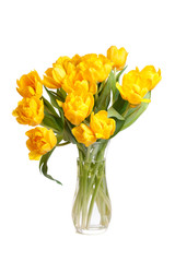 Bouquet of yellow tulips in a glass vase isolated on a white background.