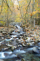 Obraz na płótnie Canvas Small white water stream in the Smoky Mountains fall.