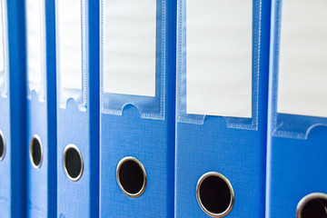 Office folders isolated . Row of blue office folders with blank labels on desk.Files and documents organized and arrayed in shelves.Document folders standing in a row. Document organization.