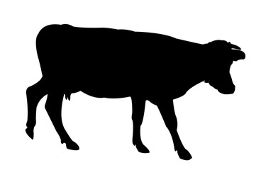 a bull body silhouette vector