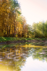 Fototapeta na wymiar Autumn forest lake water landscape