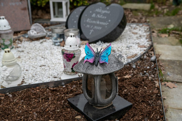 Schmetterling auf einer Grablampe © Blende8