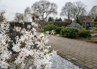 Blick über einen Friedhof  © Blende8