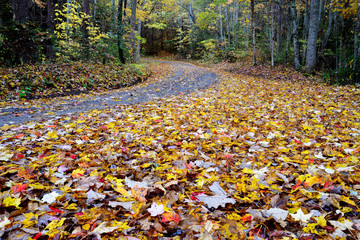 Small narrow mountainous road in autumn in the Smoky Mountains.
