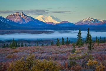 Photo sur Plexiglas Denali Matin brumeux dans le parc national Denali, Alaska
